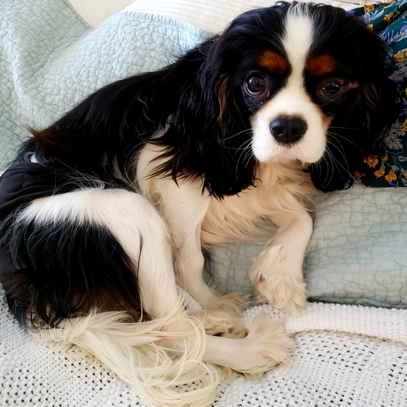 MY 2nd FOLLOW GAME - Picture 6 of 8